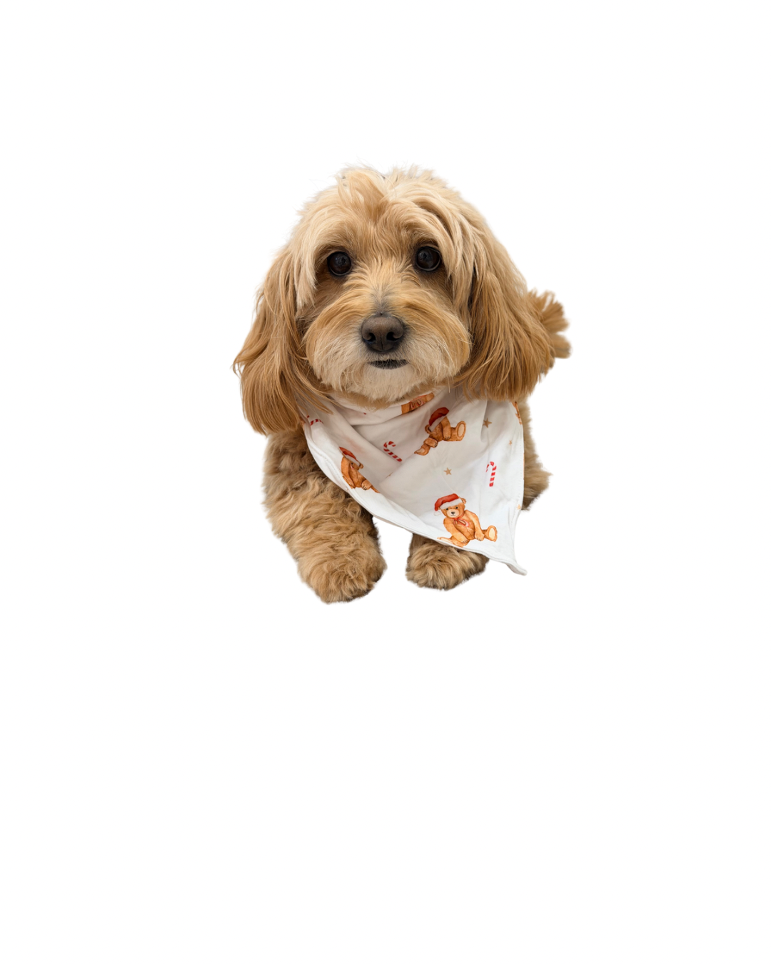 Christmas Dog Bandanas